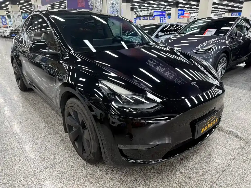 Tesla Model Y — фото 9