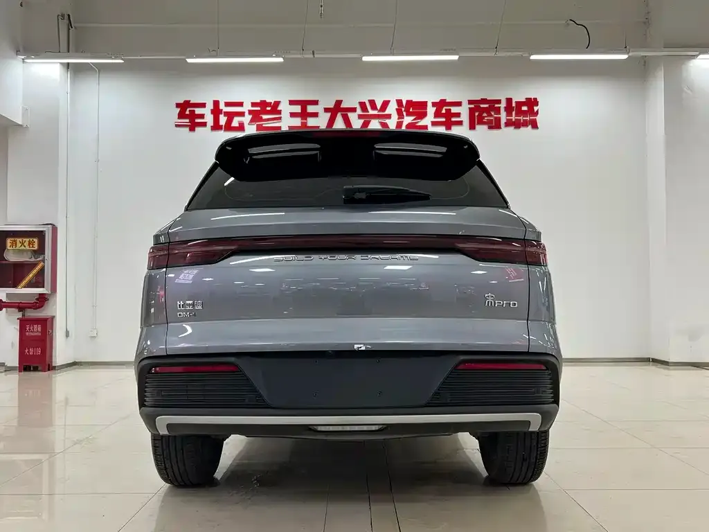 BYD Pro New Energy — фото 2