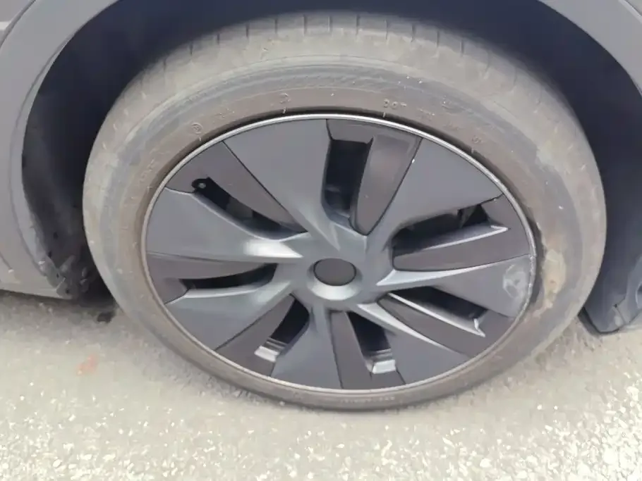 Tesla Model Y — фото 10
