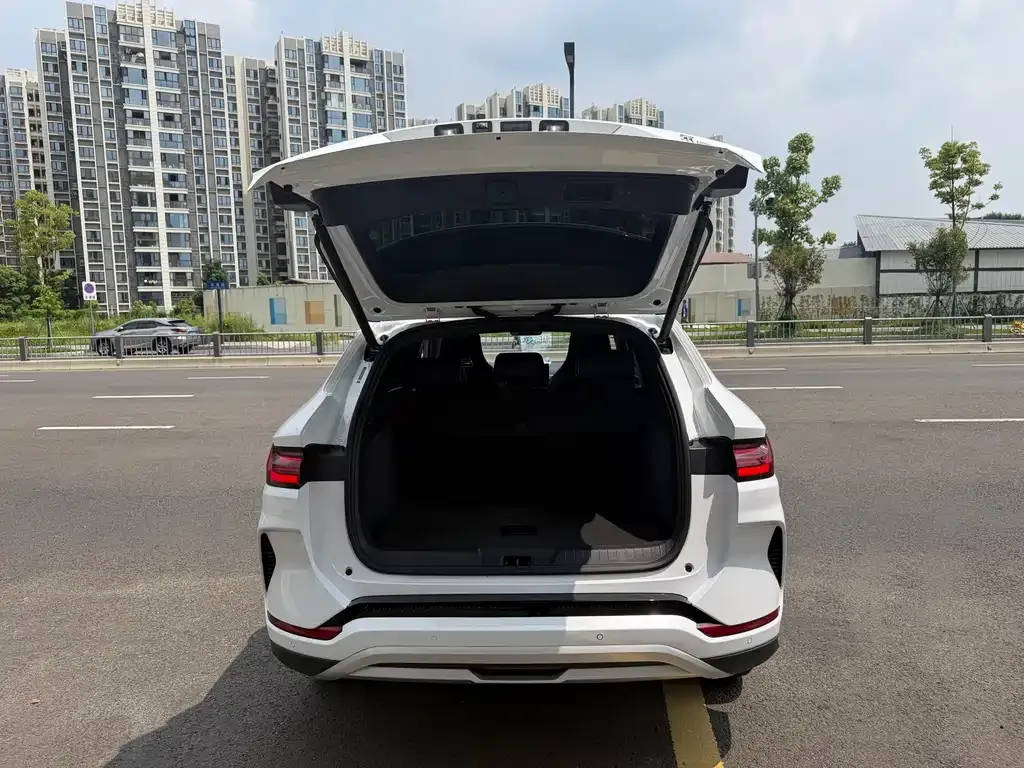 BYD PLUS New Energy — фото 8