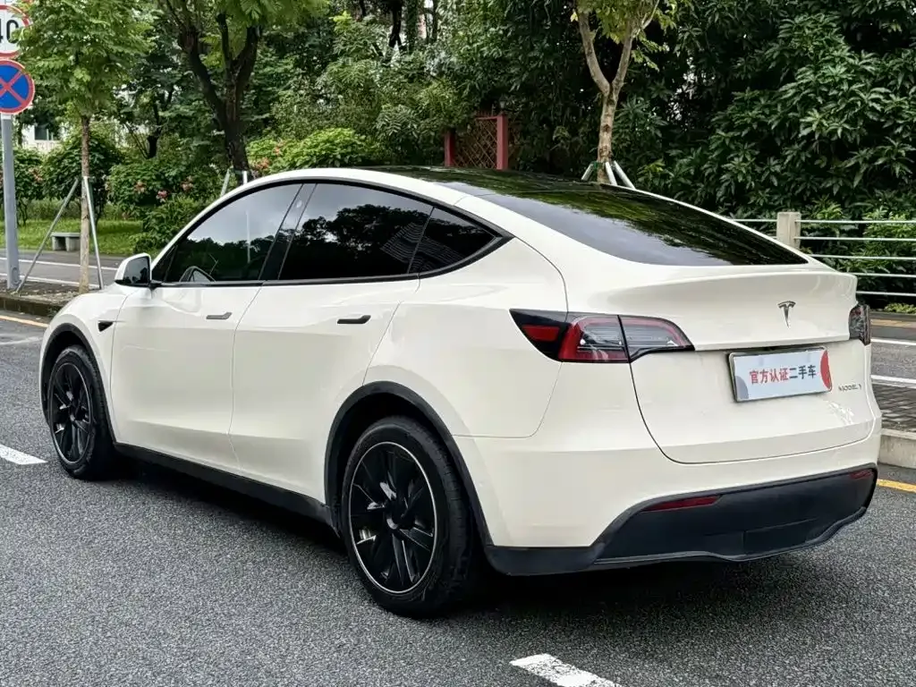 Tesla Model Y — фото 9