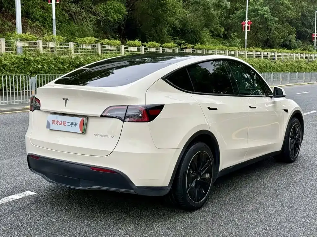 Tesla Model Y — фото 8