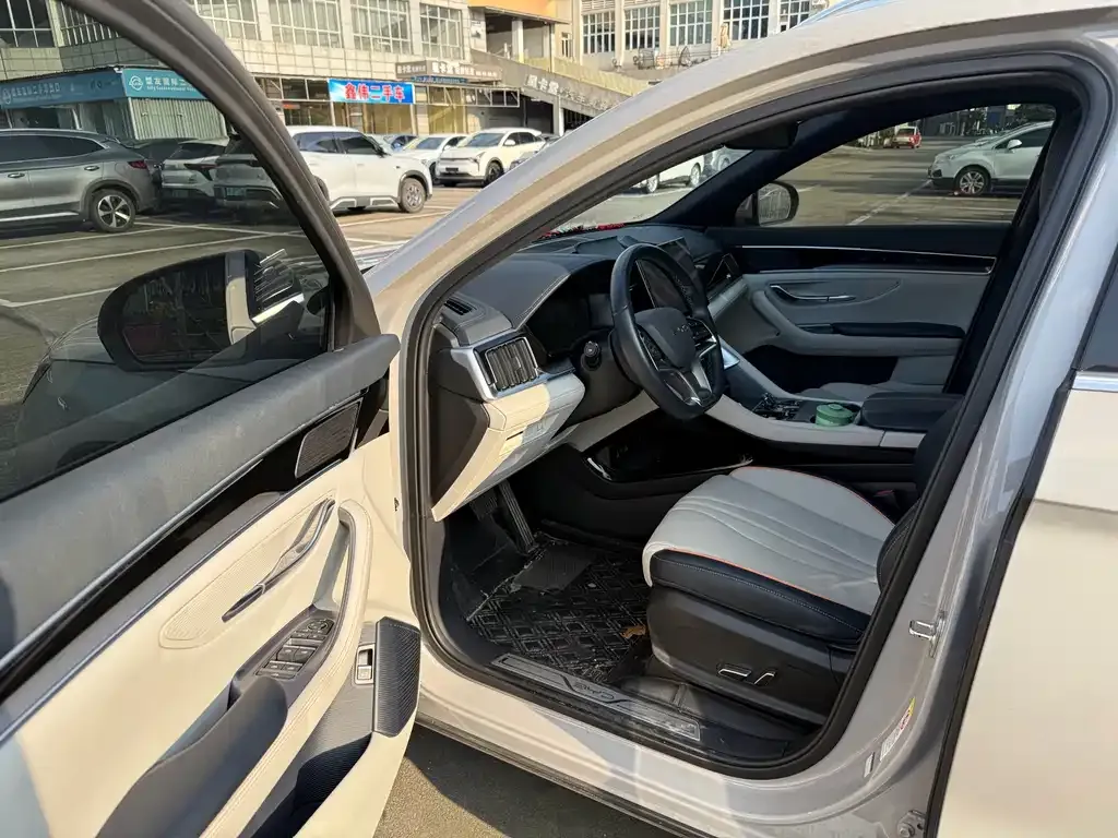 BYD PLUS New Energy — фото 8