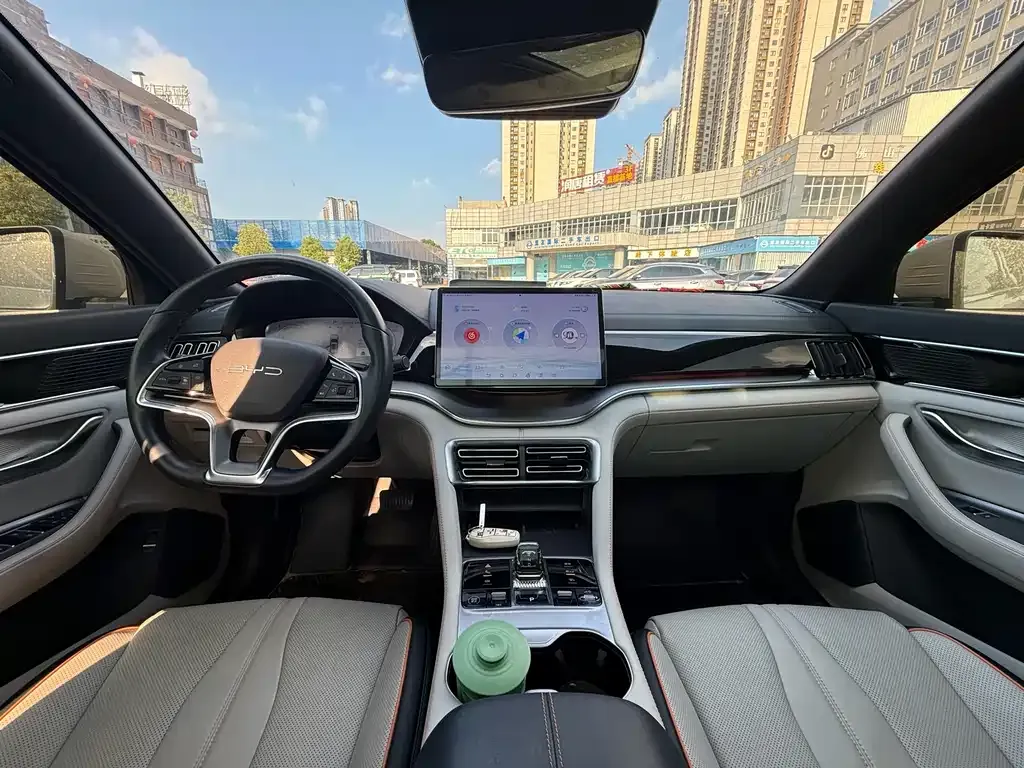 BYD PLUS New Energy — фото 9