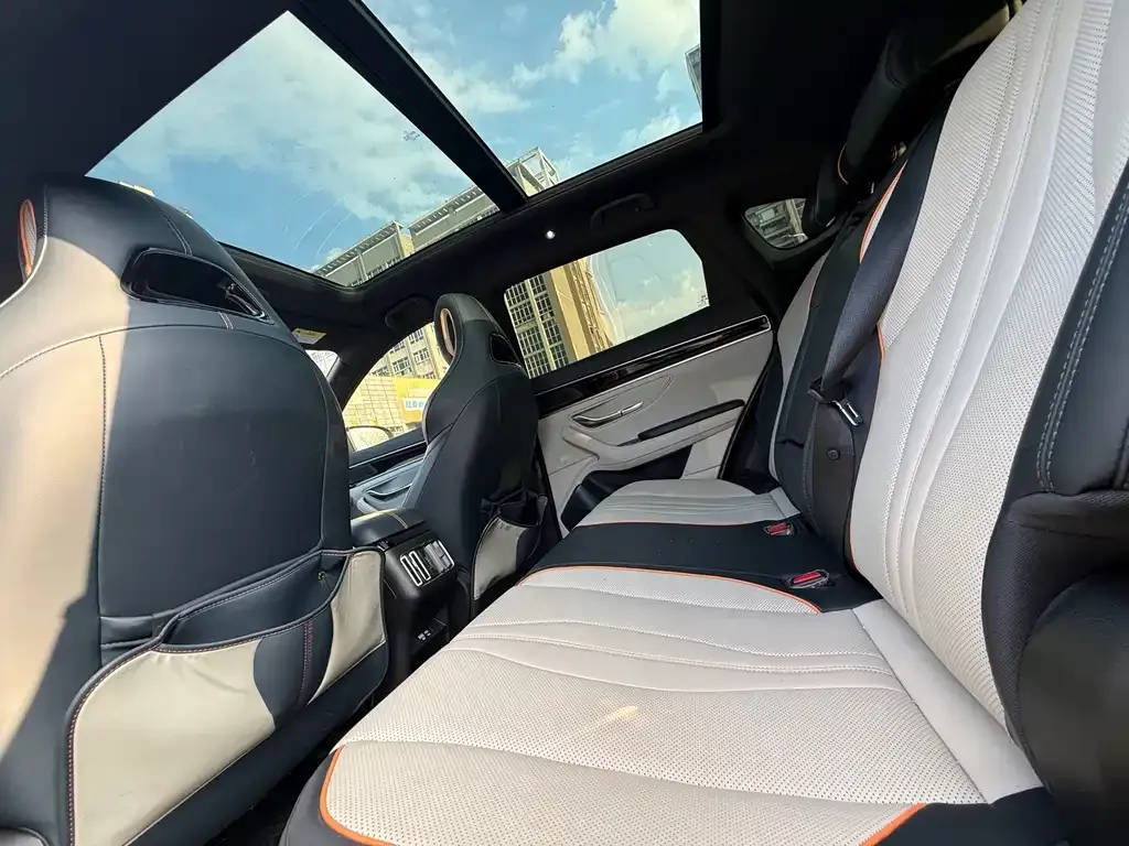 BYD PLUS New Energy — фото 10