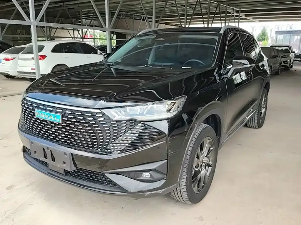 Haval H6 New Energy — фото 1