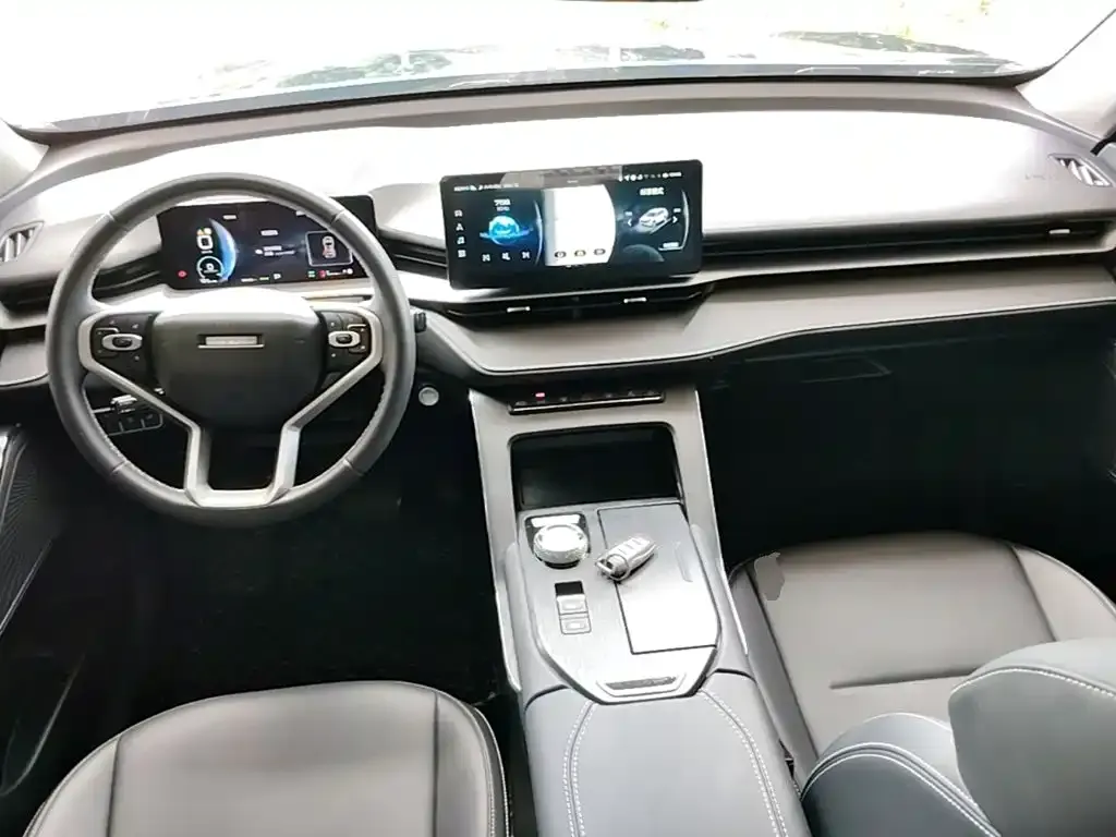 Haval H6 New Energy — фото 9
