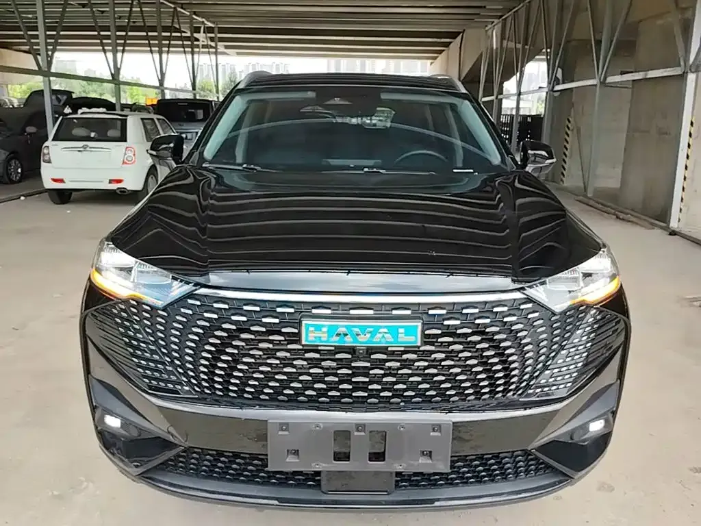 Haval H6 New Energy — фото 6