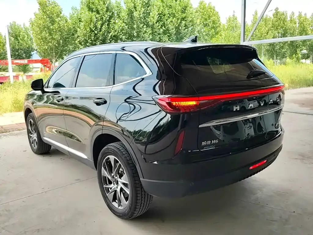 Haval H6 New Energy — фото 7