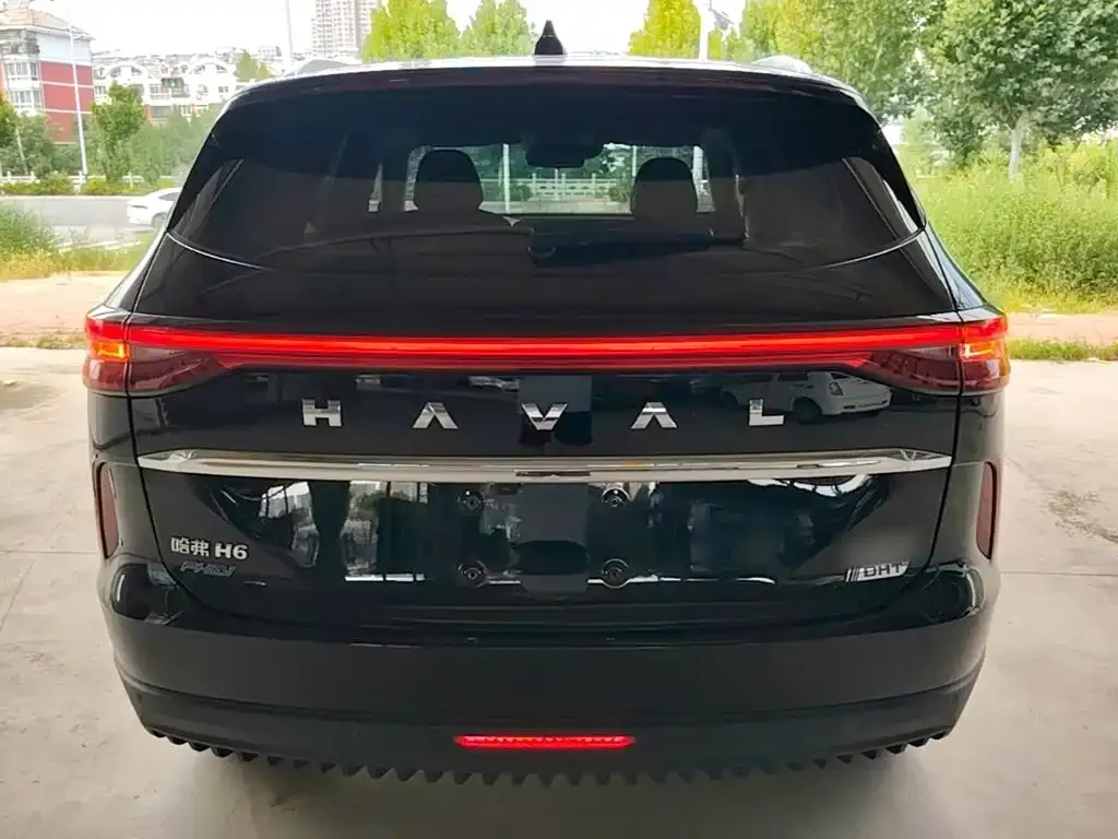 Haval H6 New Energy — фото 10