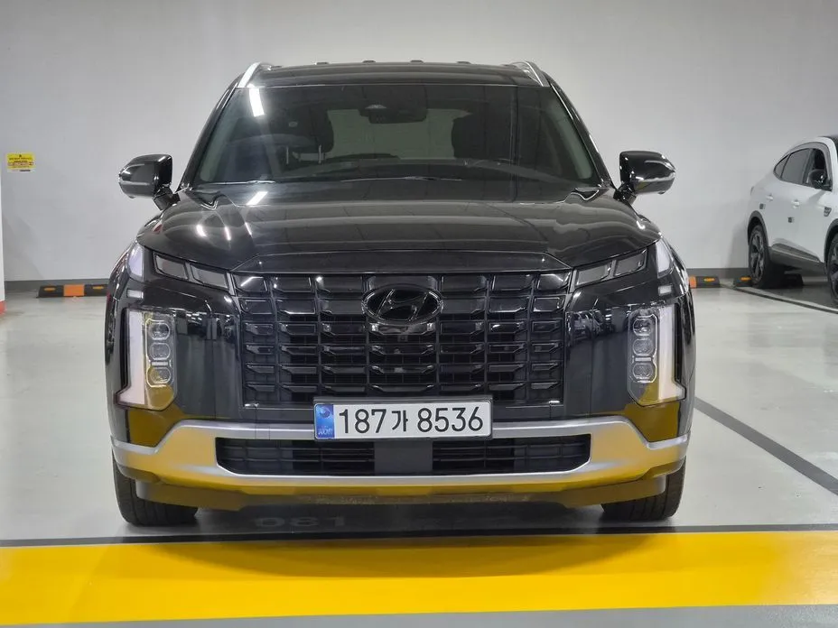 Hyundai Palisade — фото 8