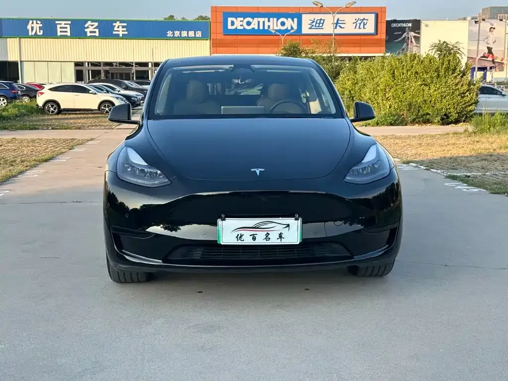 Tesla Model Y — фото 2