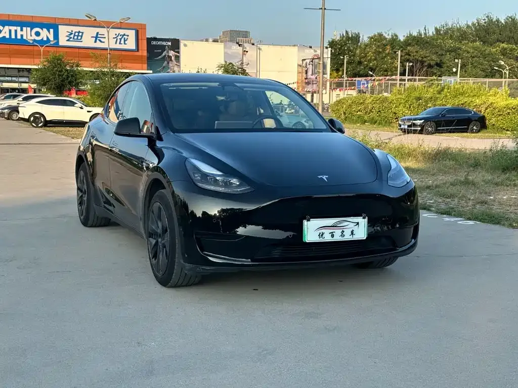 Tesla Model Y — фото 7