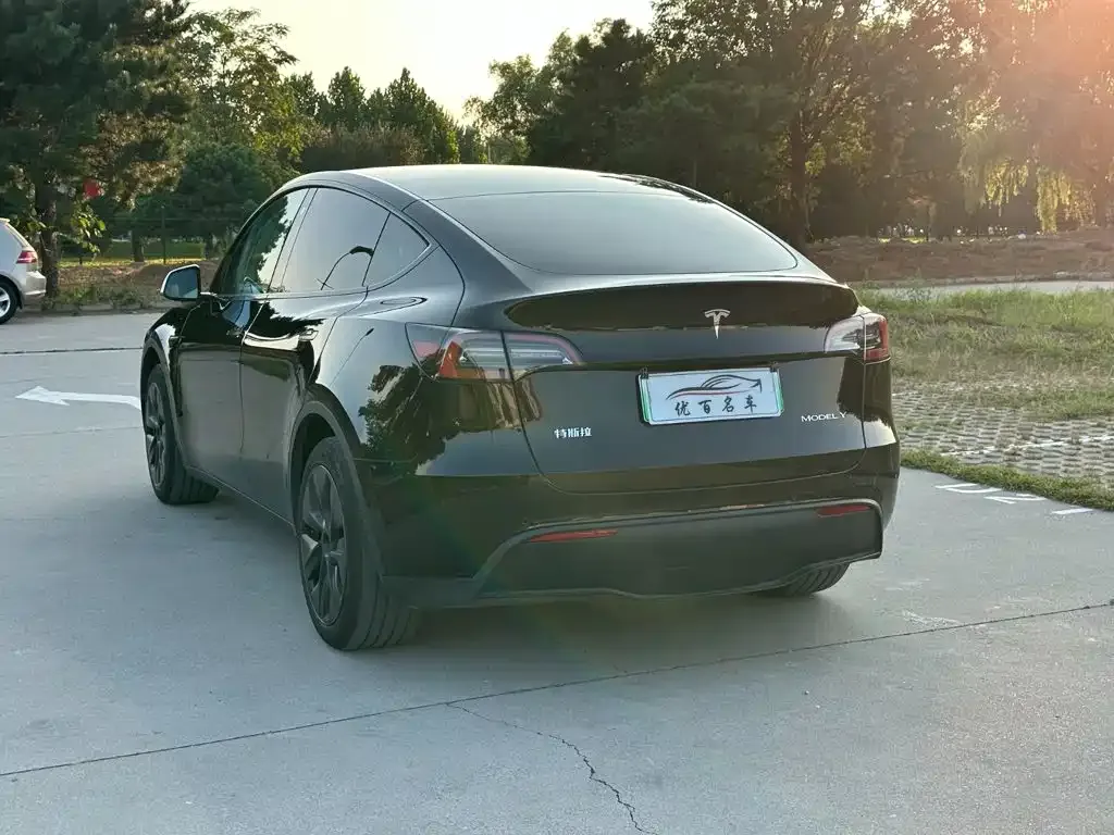 Tesla Model Y — фото 10