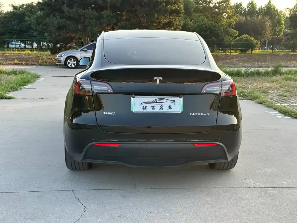 Tesla Model Y — фото 9