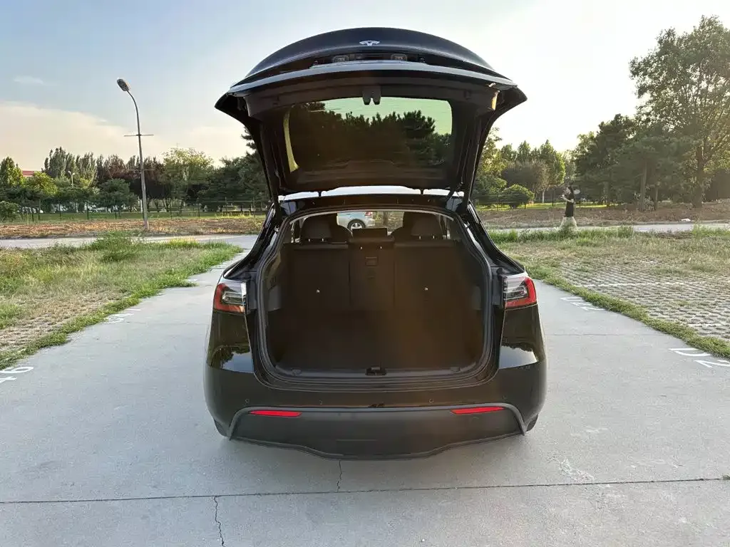 Tesla Model Y — фото 5