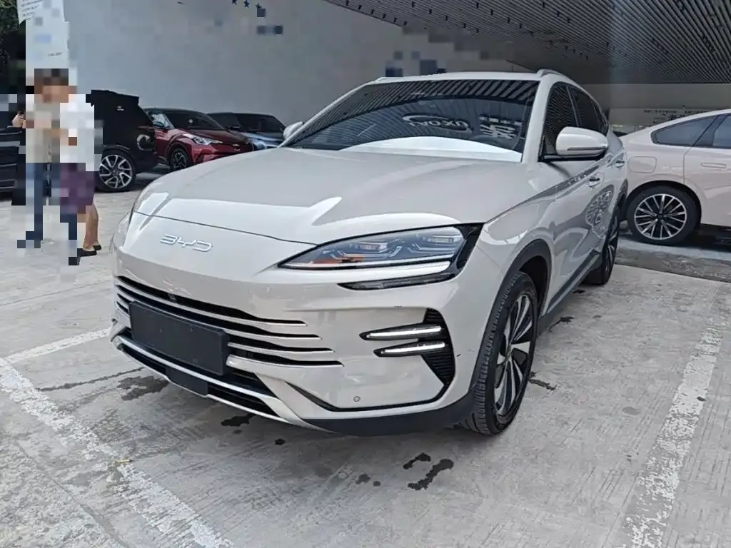 BYD PLUS New Energy — фото 1