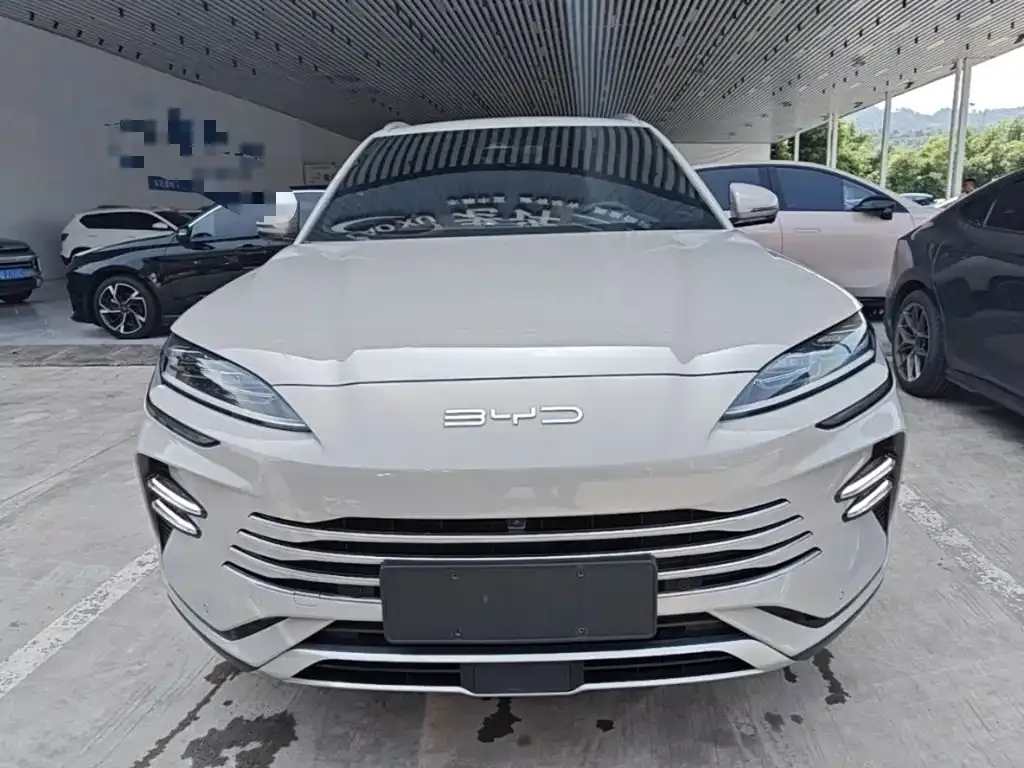 BYD PLUS New Energy — фото 3