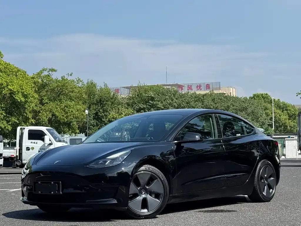 Tesla Model 3 — фото 1