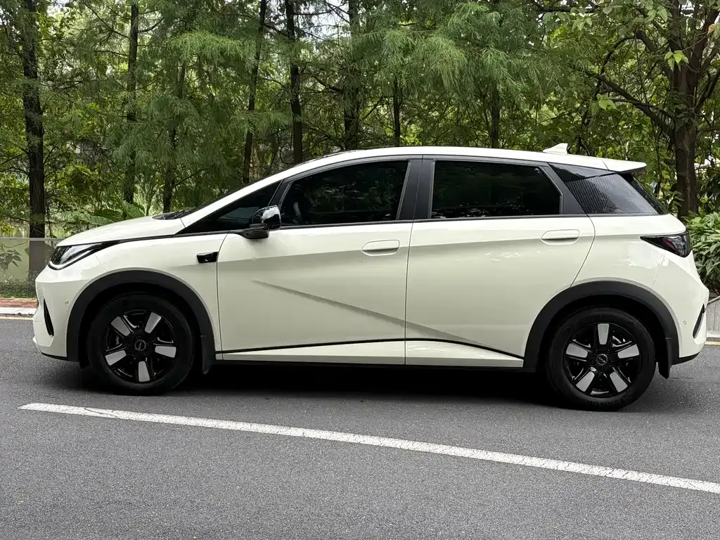 BYD Dolphin — фото 10