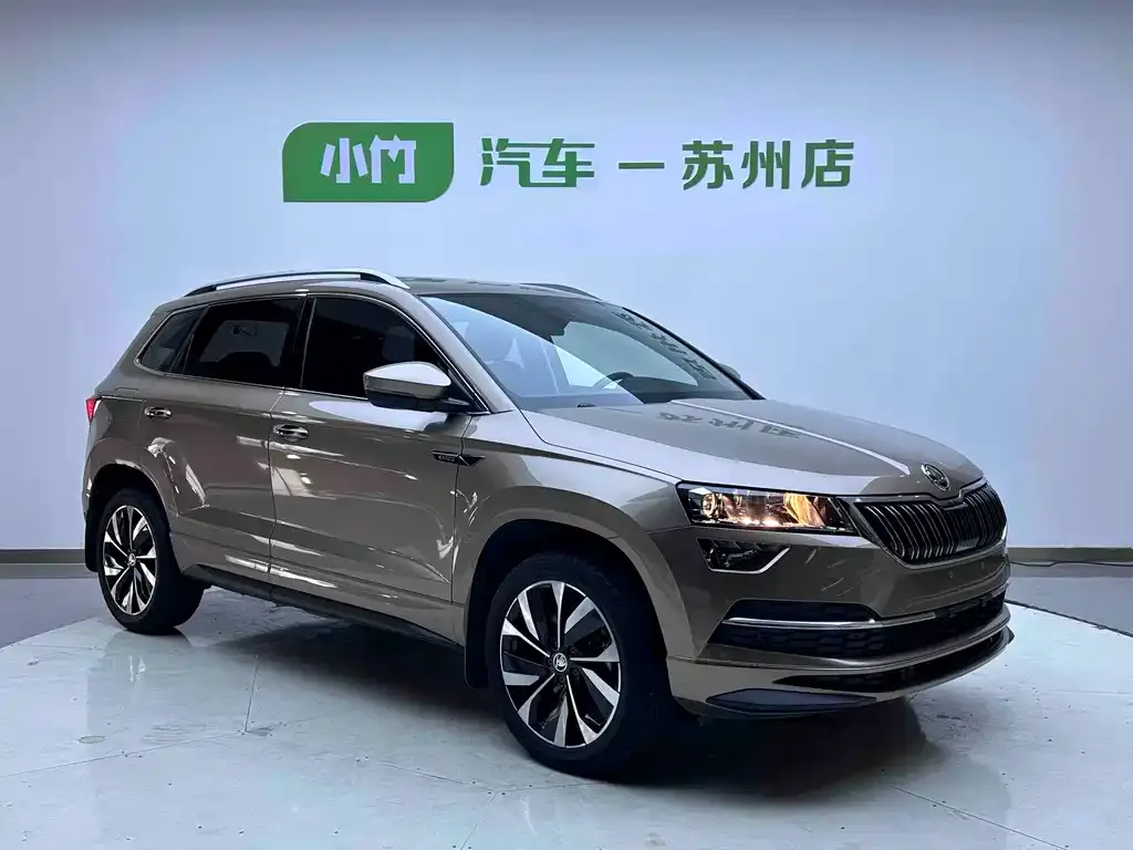 Skoda Karoq — фото 7