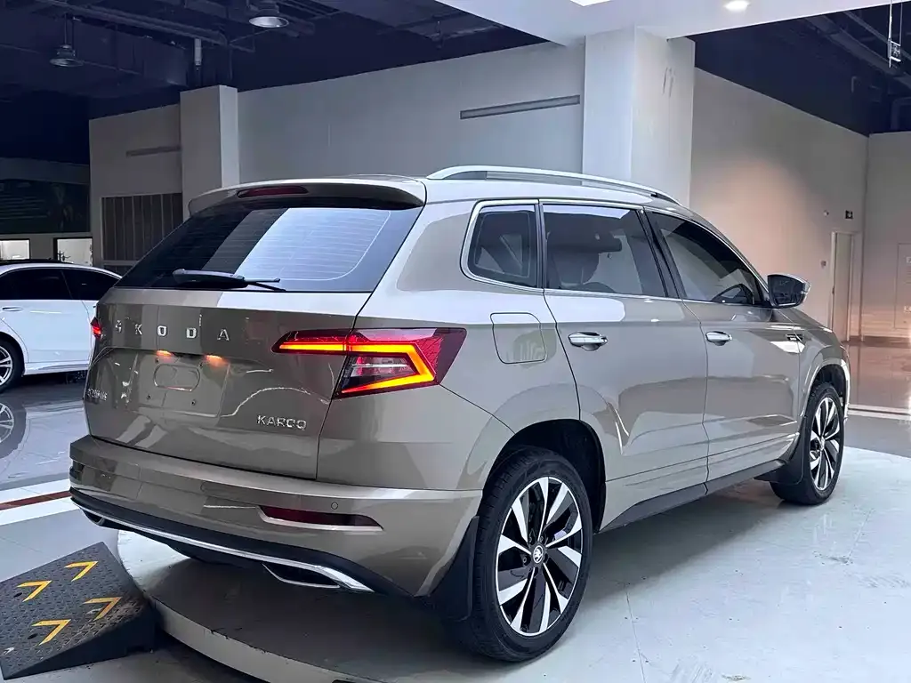 Skoda Karoq — фото 6
