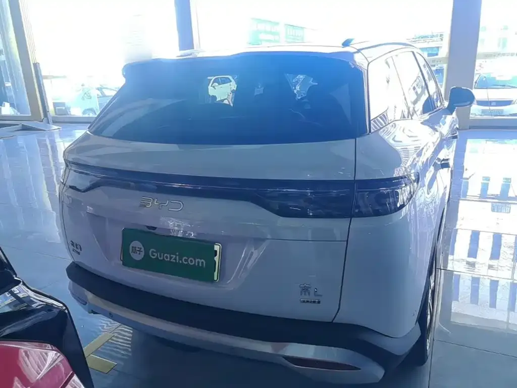 BYD L DM-i — фото 4