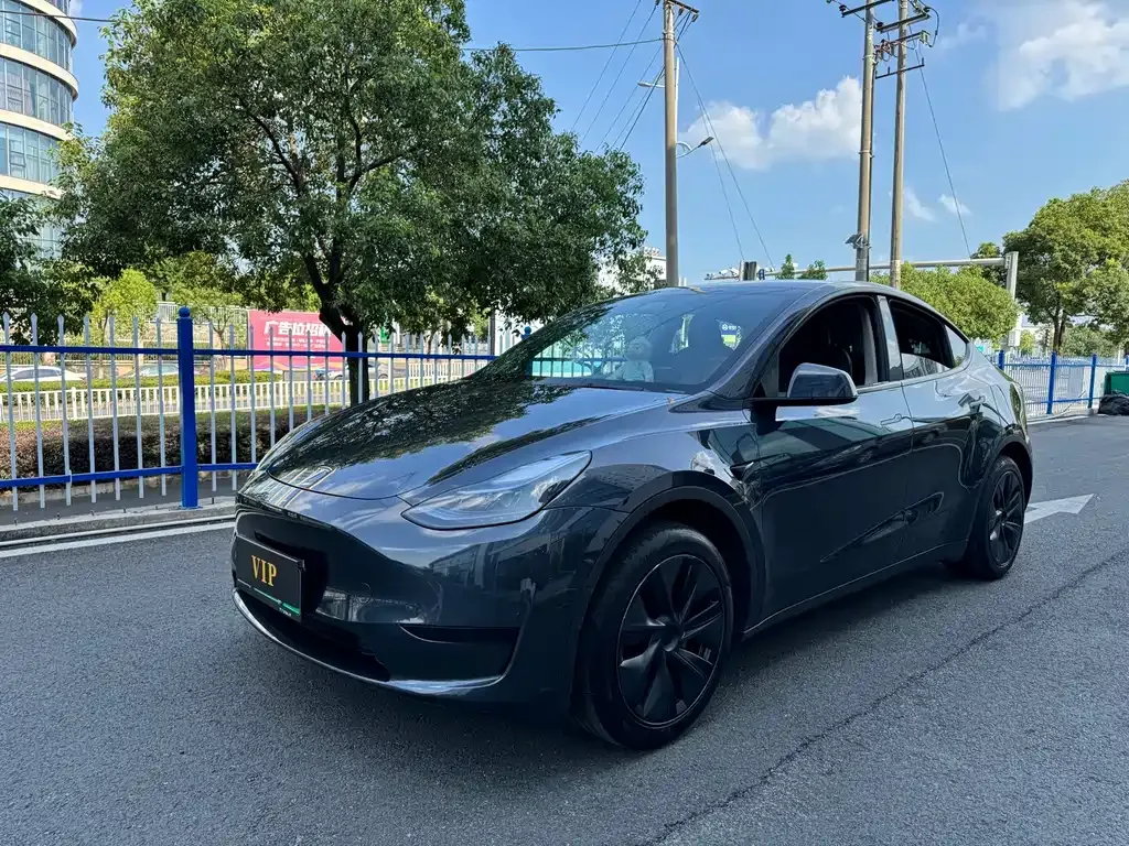 Tesla Model Y — фото 1