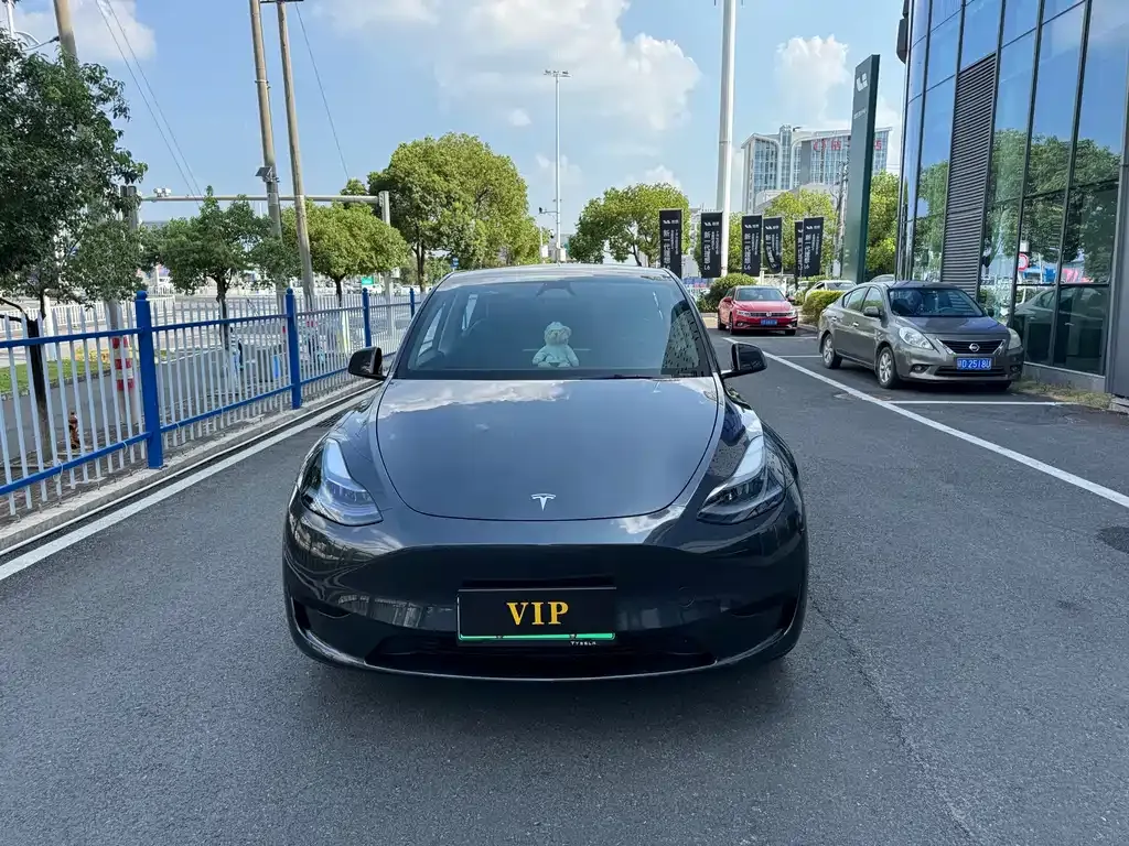 Tesla Model Y — фото 9
