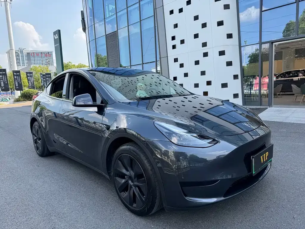 Tesla Model Y — фото 3