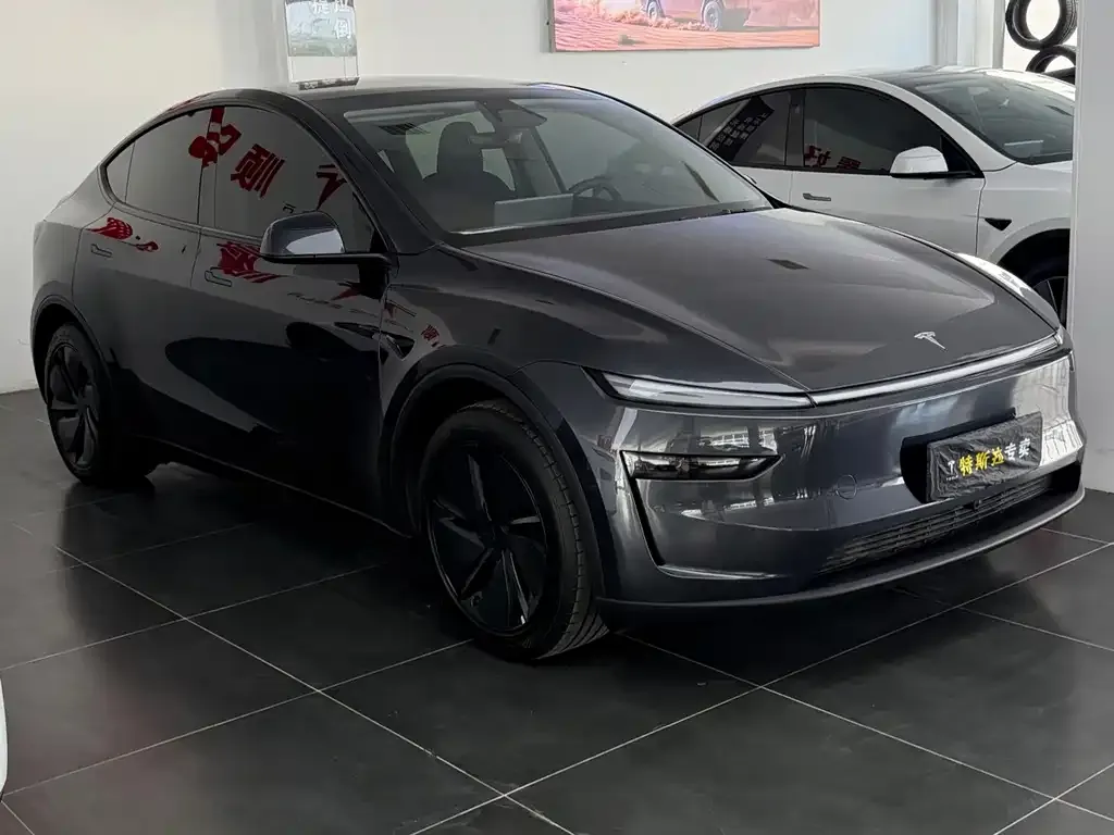 Tesla Model Y — фото 7