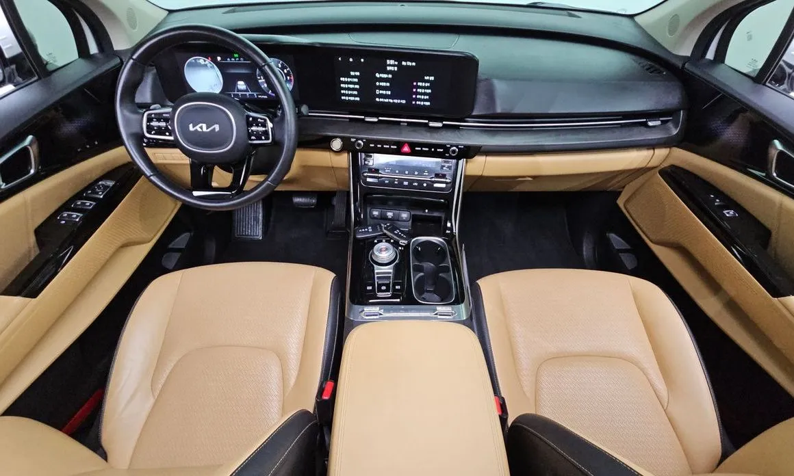 Kia Carnival — фото 10