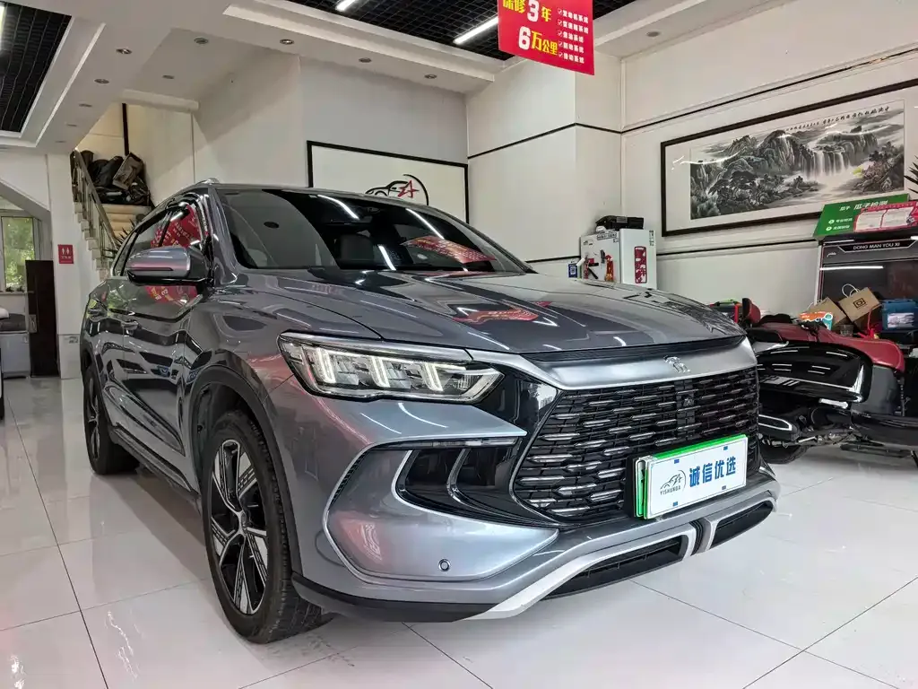 BYD Pro New Energy — фото 2