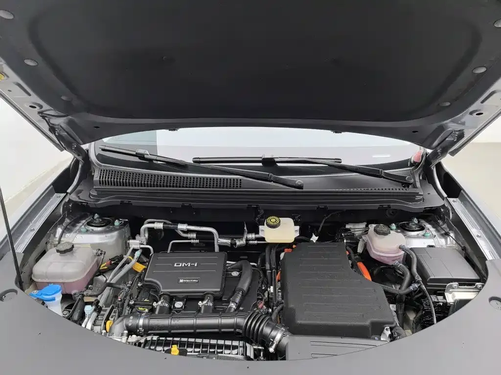 BYD Pro New Energy — фото 9