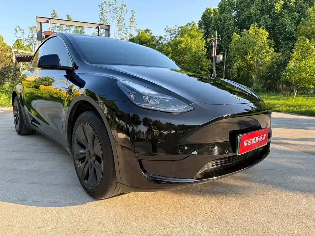 Tesla Model Y — фото 9
