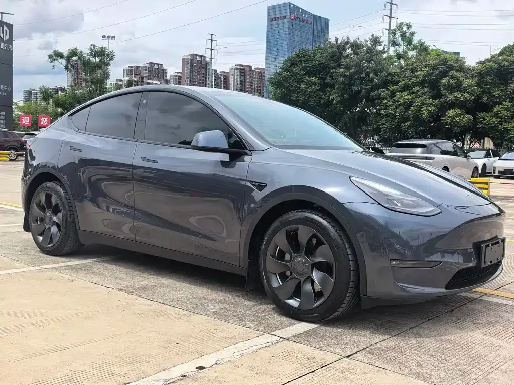 Tesla Model Y — фото 9