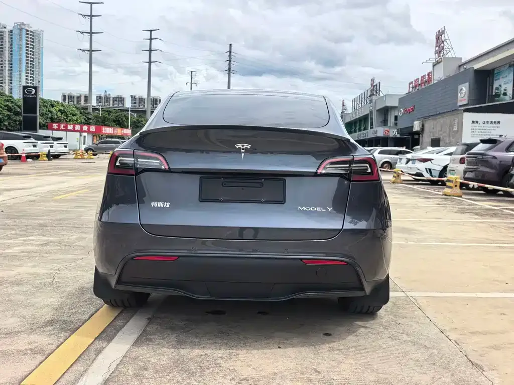 Tesla Model Y — фото 6
