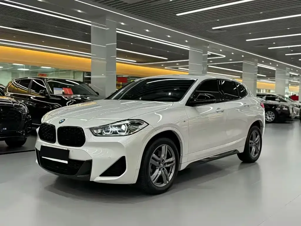 BMW X2 — фото 1