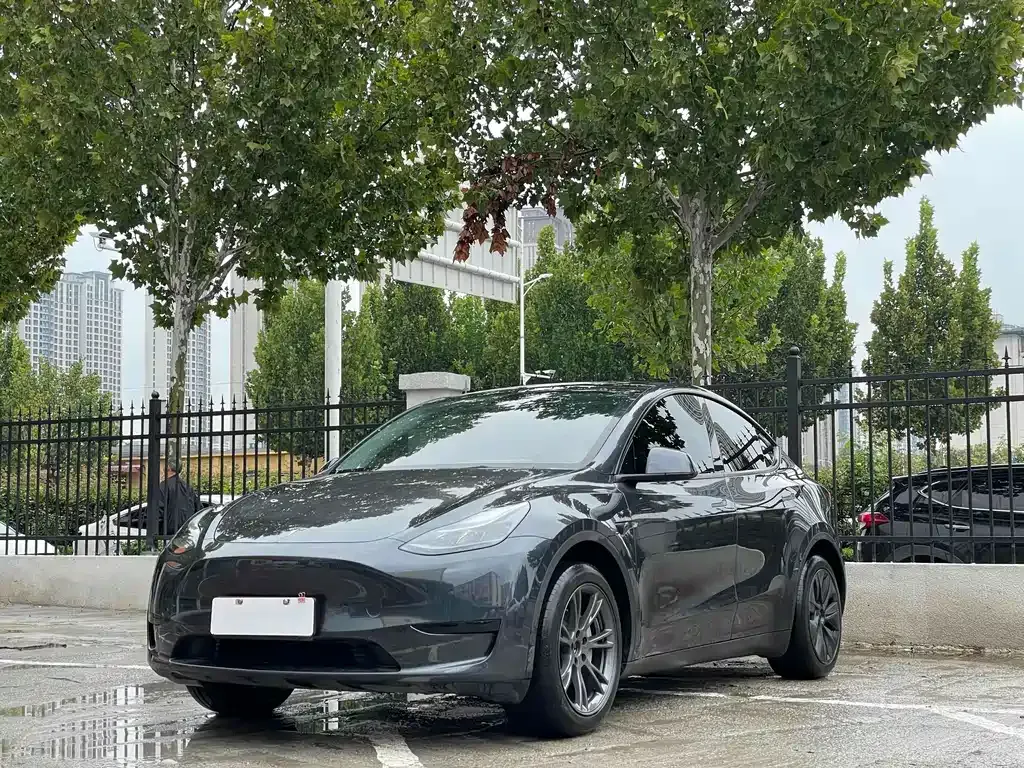 Tesla Model Y — фото 1