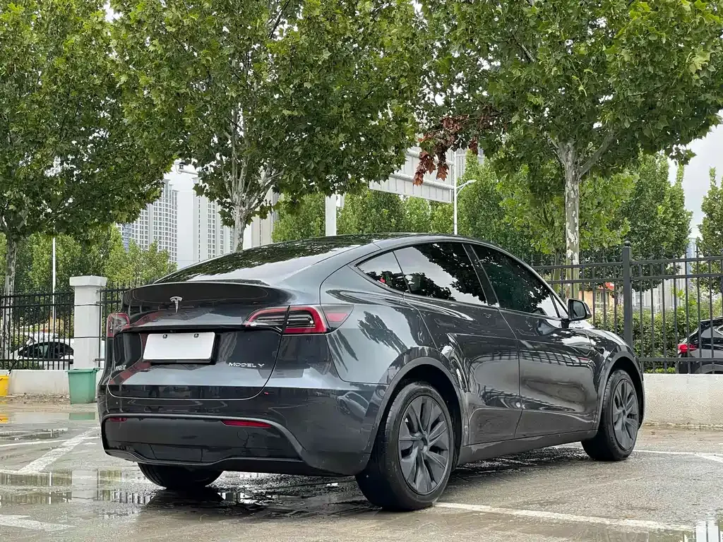 Tesla Model Y — фото 8