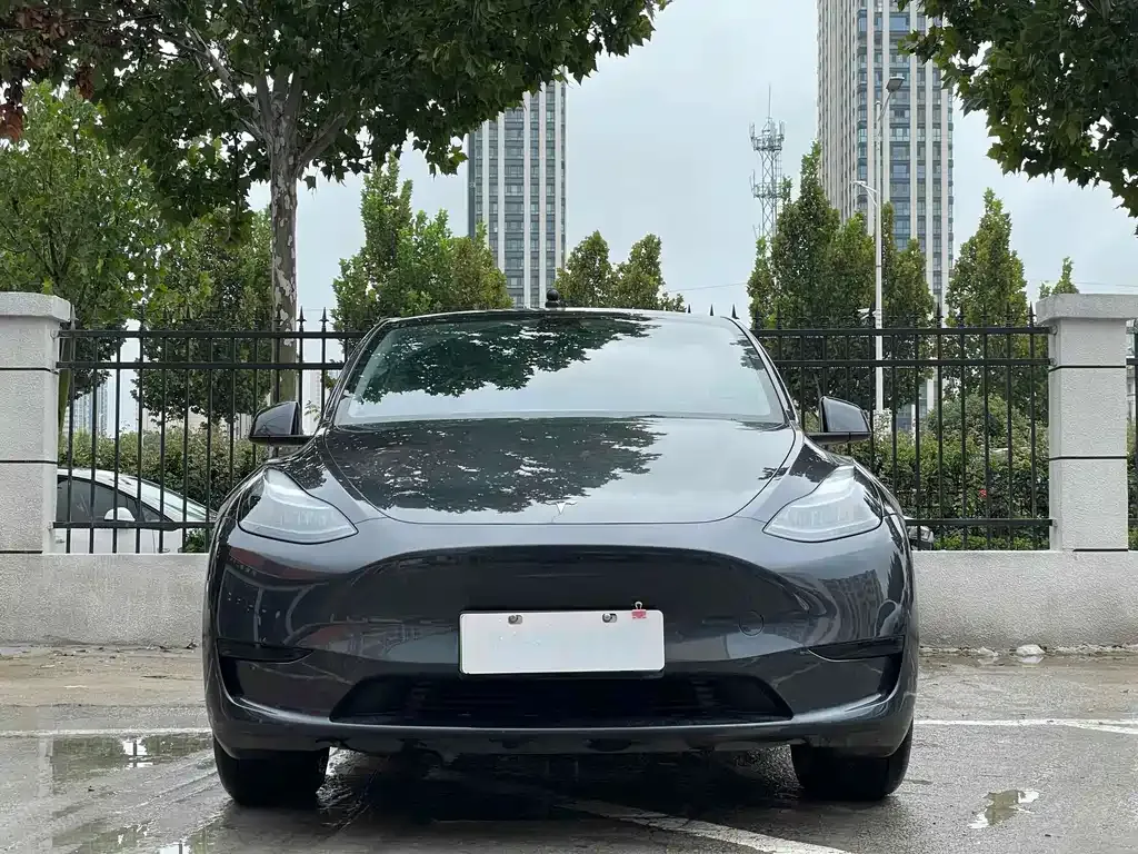 Tesla Model Y — фото 7