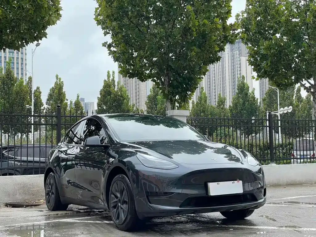 Tesla Model Y — фото 9