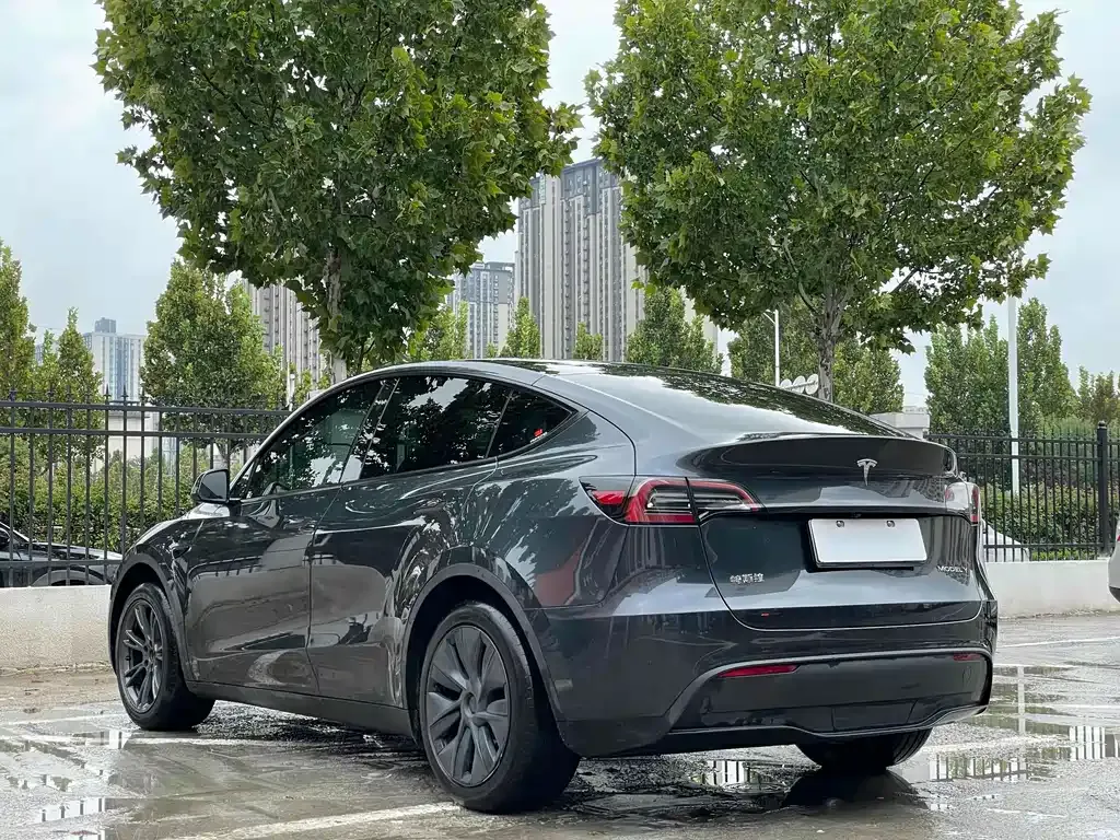 Tesla Model Y — фото 3