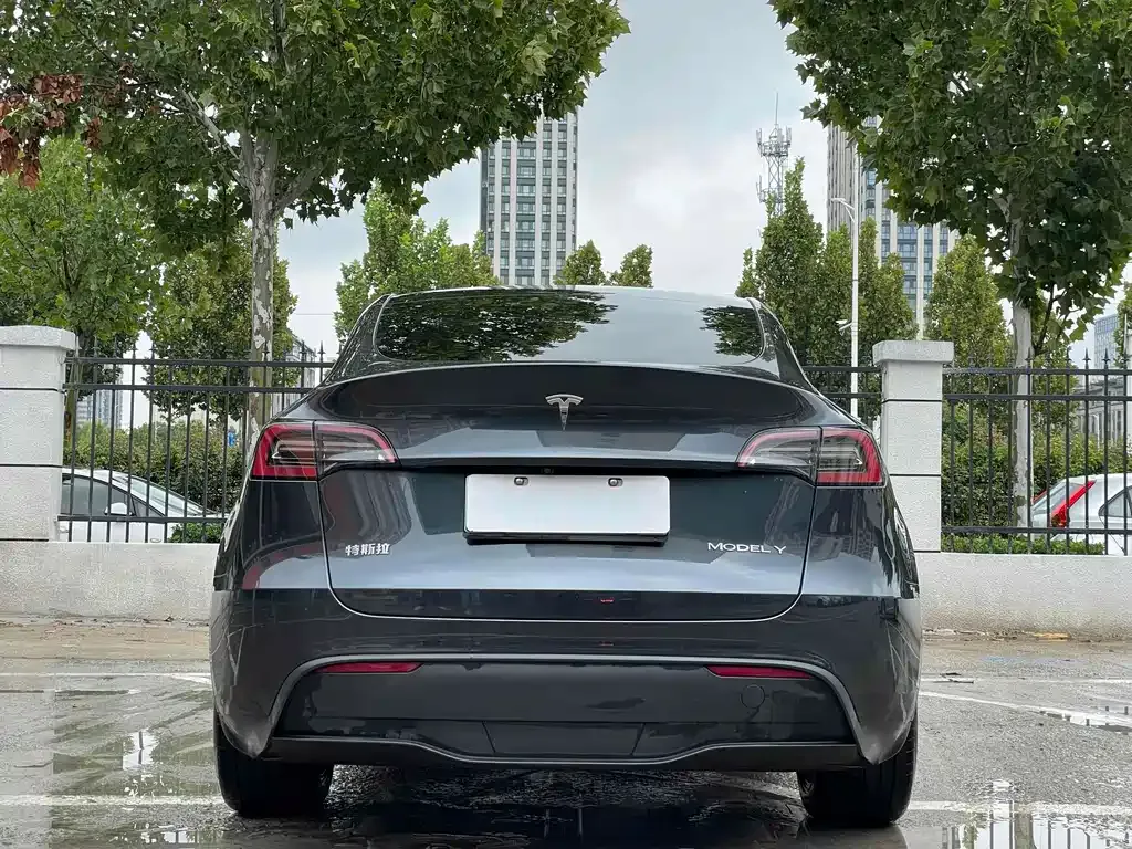 Tesla Model Y — фото 10