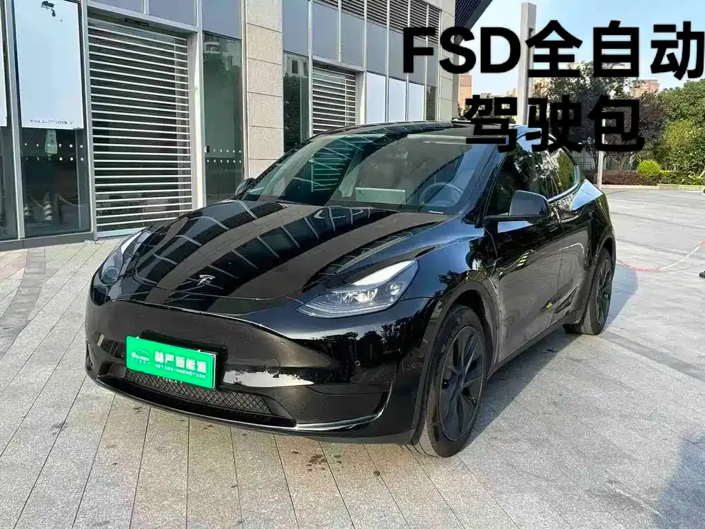 Tesla Model Y — фото 1