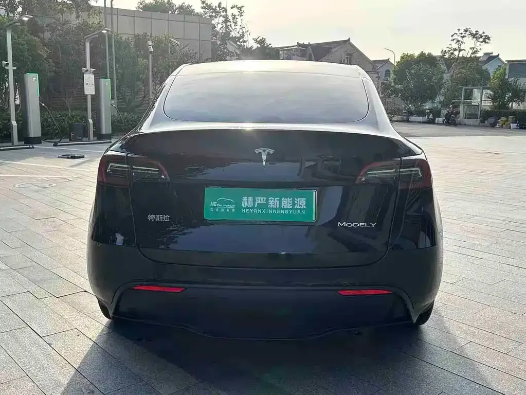 Tesla Model Y — фото 8