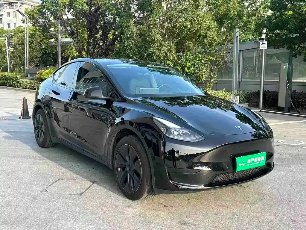 Tesla Model Y — фото 10
