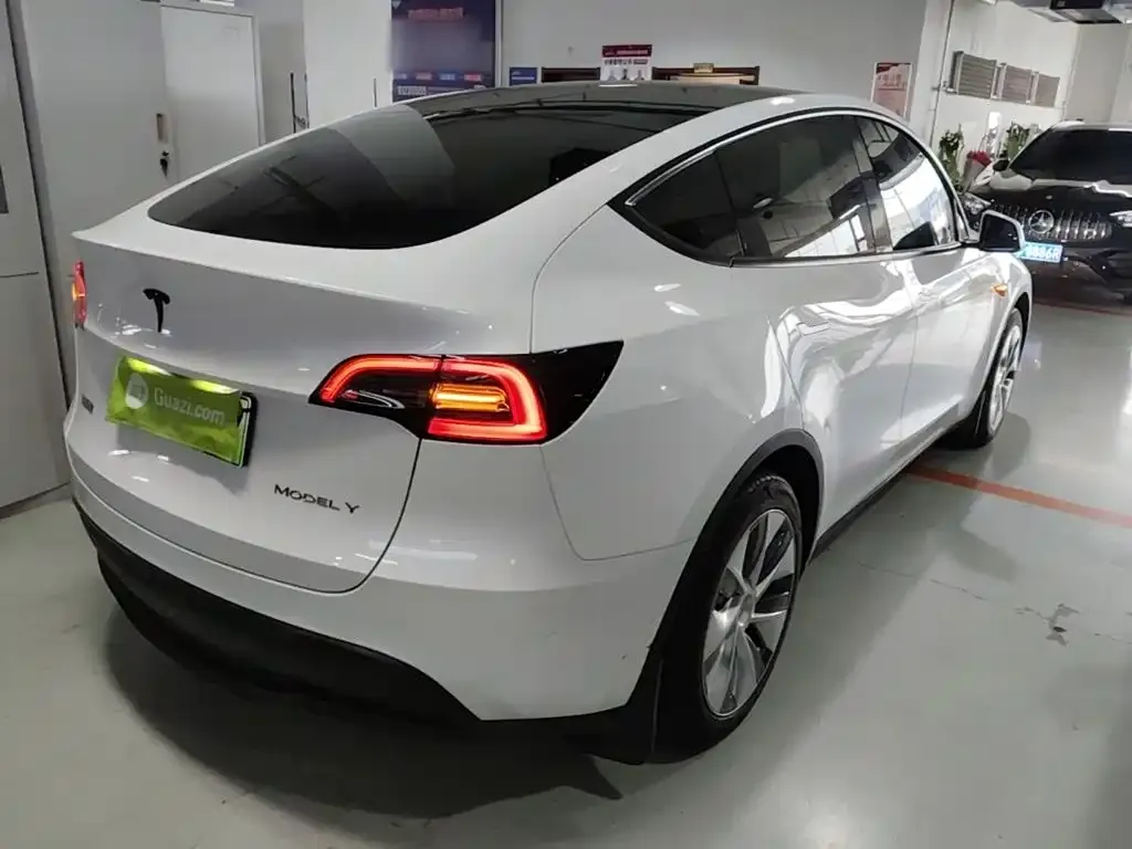Tesla Model Y — фото 9
