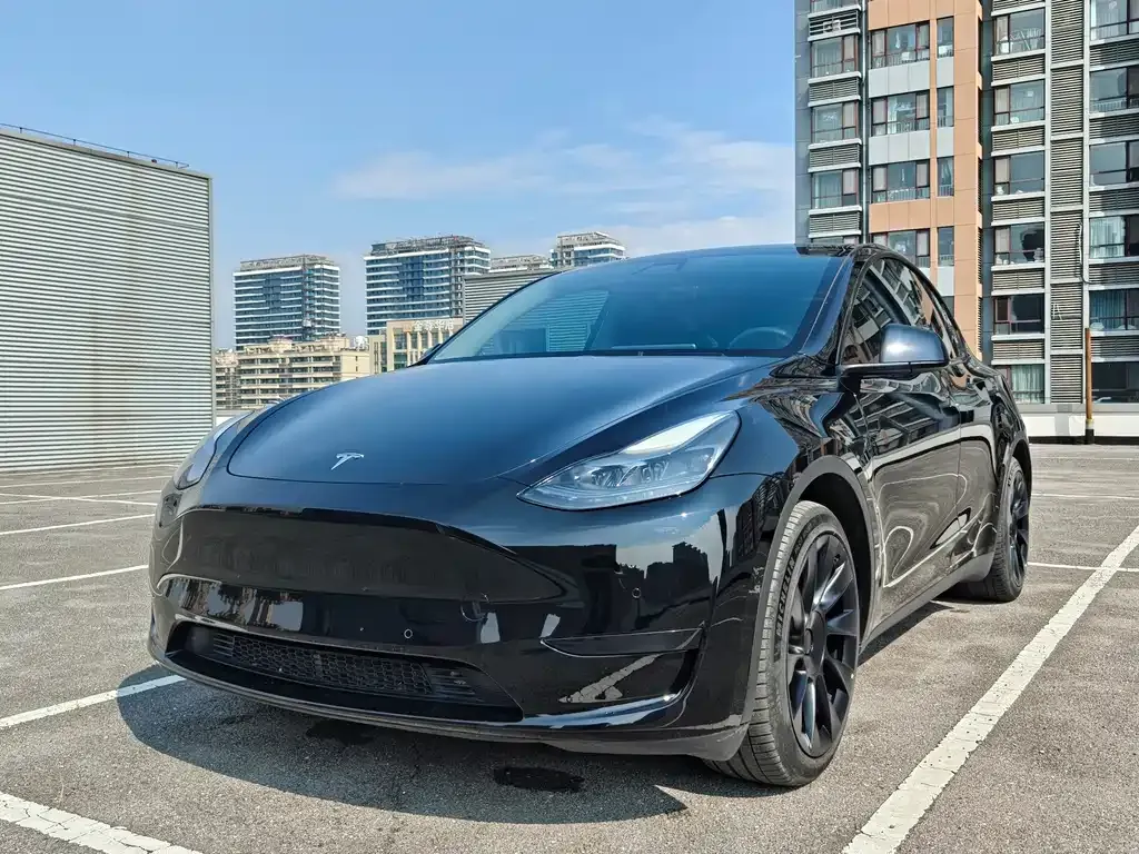 Tesla Model Y — фото 1