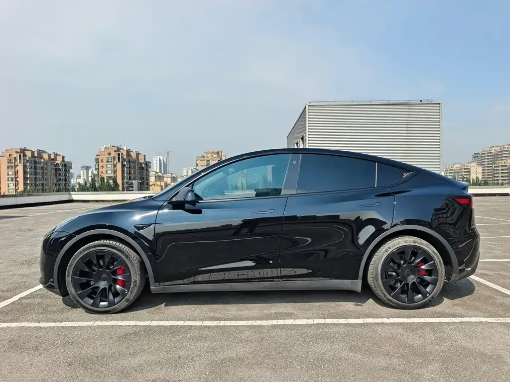 Tesla Model Y — фото 9
